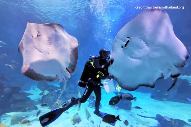 cr.thai.tourismthailand.org (6)