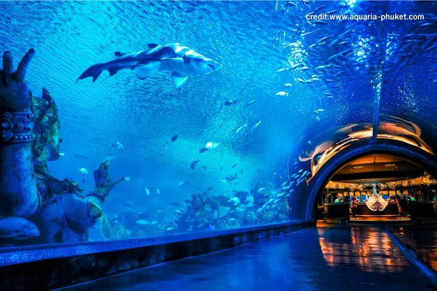 cr.thai.tourismthailand.org (7)