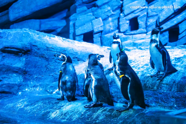 cr.thai.tourismthailand.org (8)